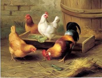 unknow artist Cocks 134 Germany oil painting art